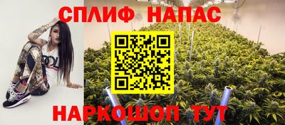 гидропоника Сланцы