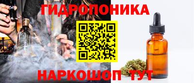 гидропоника Сланцы