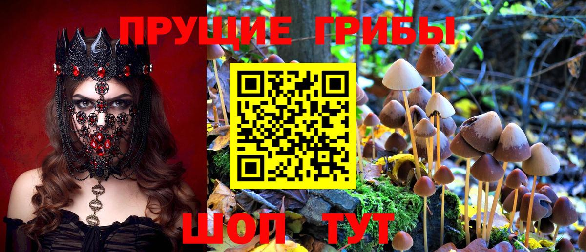 Псилоцибиновые грибы мухоморы  купить наркотик  Осинники  Галлюциногенные грибы Cubensis  Вход с VPN 