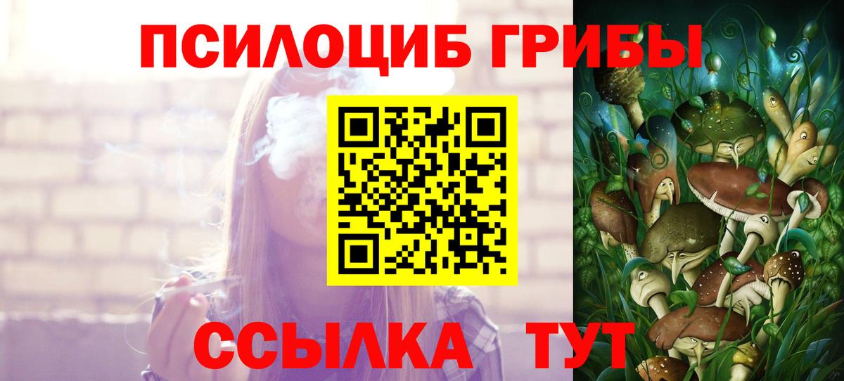 Псилоцибиновые грибы прущие грибы Осинники